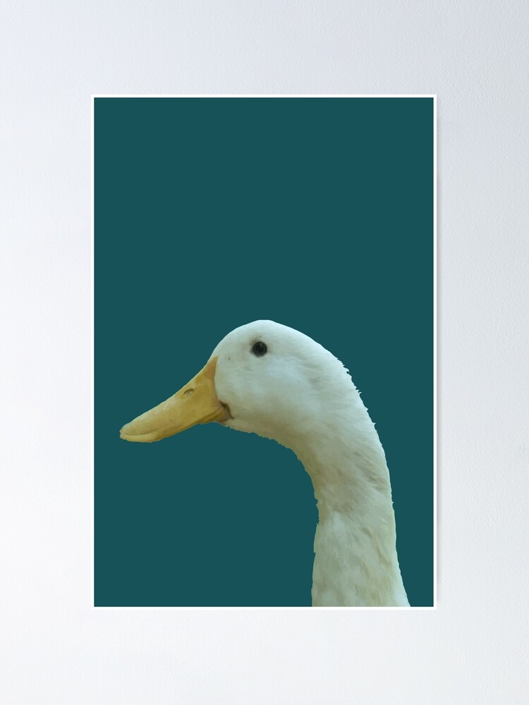 duck.care ataie (duckcare) - Profile