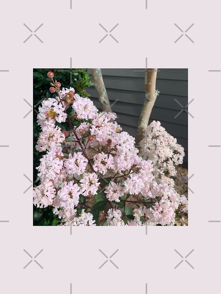 Pink Crepe Myrtle by Naturefae