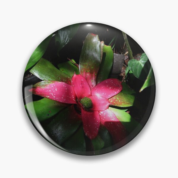 Item preview, Pink Bromeliad designed and sold by Crystaliii.