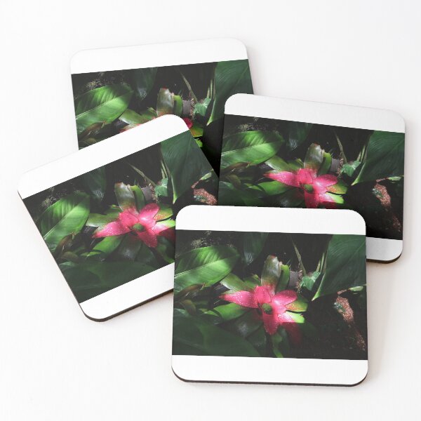 Item preview, Pink Bromeliad designed and sold by Crystaliii.