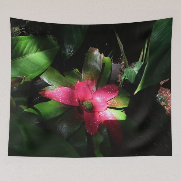 Item preview, Pink Bromeliad designed and sold by Crystaliii.