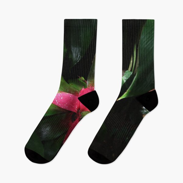 Item preview, Pink Bromeliad designed and sold by Crystaliii.