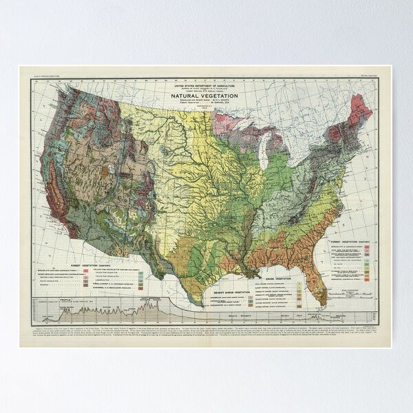 Item preview, Old US Natural Vegetation Map (1923) Vintage United States Ecosystems Atlas designed and sold by BravuraMedia.