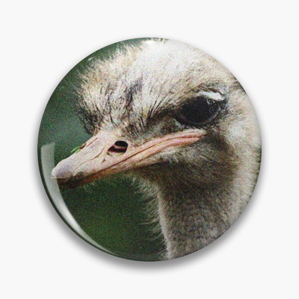 Item preview, Ostrich Eye designed and sold by PSheekey.