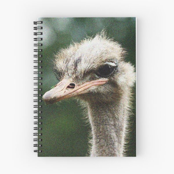 Item preview, Ostrich Eye designed and sold by PSheekey.