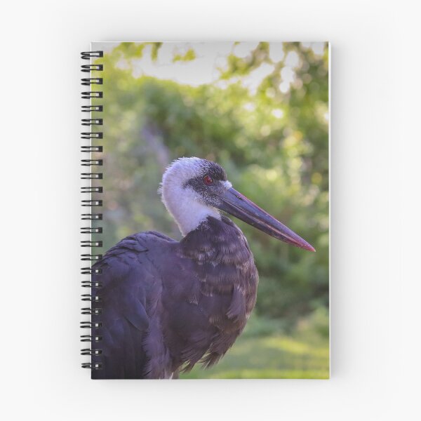 Item preview, Stork designed and sold by NickyLeighPhoto.