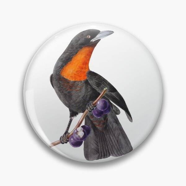 Item preview,  Red Ruffed Fruitcrow - Exotic Birds designed and sold by AlexSin.