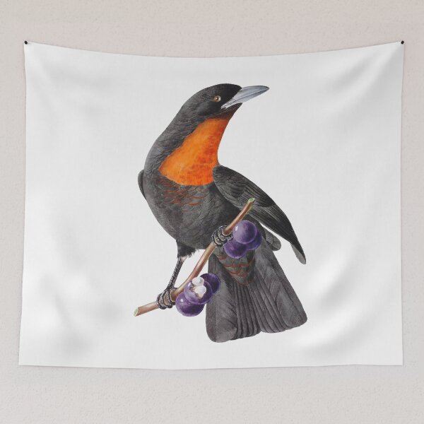 Item preview,  Red Ruffed Fruitcrow - Exotic Birds designed and sold by AlexSin.