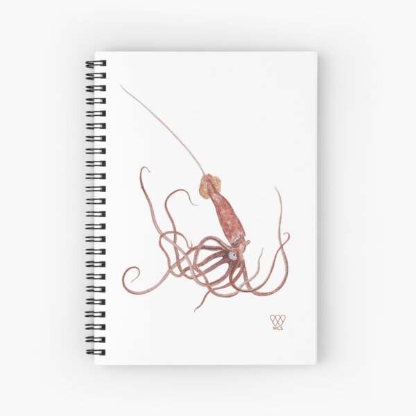 Item preview, Long-Spined Giant Squid designed and sold by WCS-Archives.