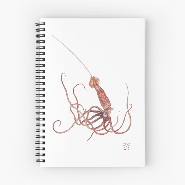 Item preview, Long-Spined Giant Squid designed and sold by WCS-Archives.