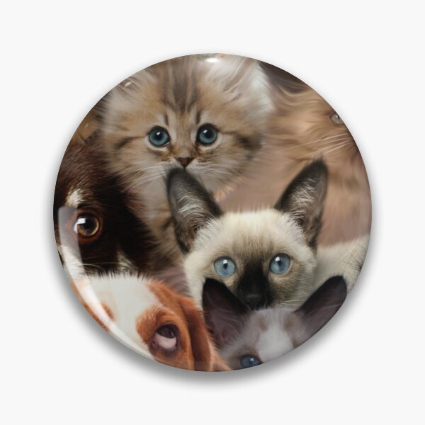 Artikelvorschau, Gruppen von Katzen und Hunden entworfen und verkauft von Anzarr.