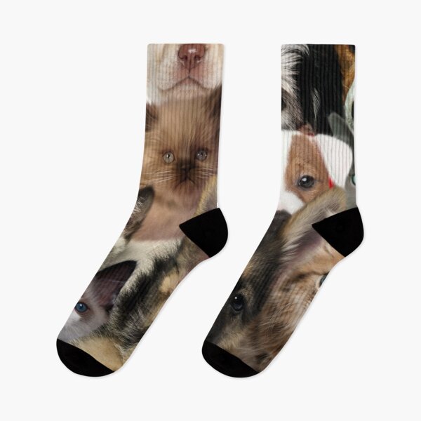 Item preview, Groups of cats and Dogs designed and sold by Anzarr.