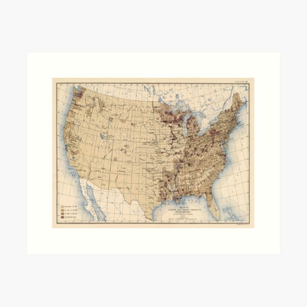 Item preview, Old US Timber Products Regional Value Map (1903) Vintage United States Lumber Atlas designed and sold by BravuraMedia.