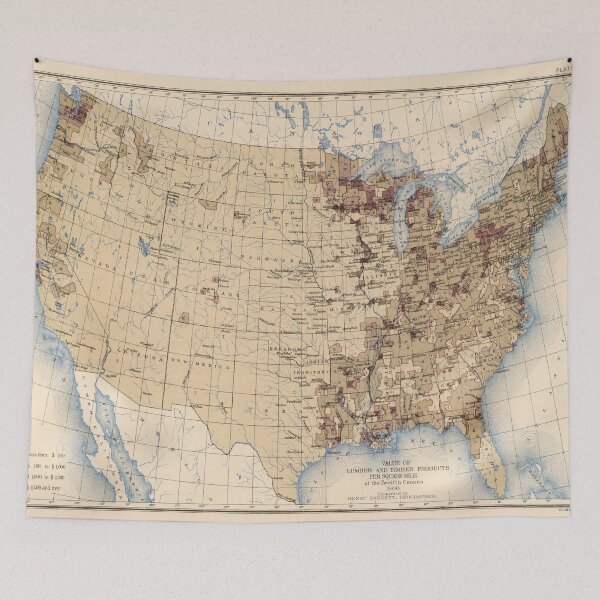 Item preview, Old US Timber Products Regional Value Map (1903) Vintage United States Lumber Atlas designed and sold by BravuraMedia.
