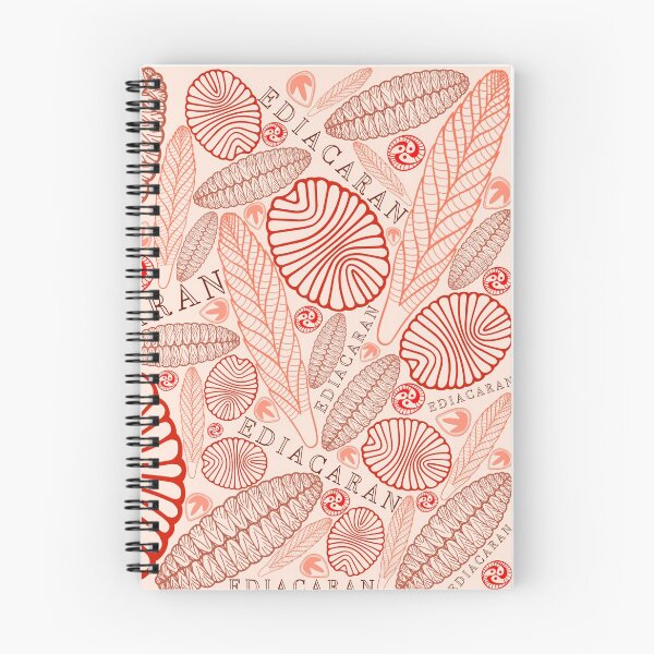 Item preview, Red Ediacaran fossils no.2 designed and sold by Project-Palaeo.