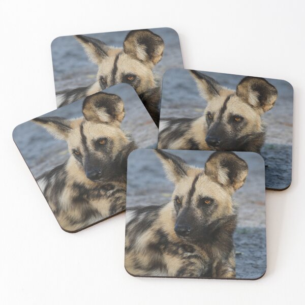 Item preview, African Wild Dog designed and sold by John Brice.