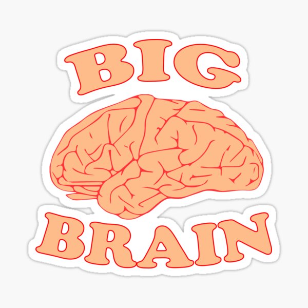 Anatomie Gifts Merchandise Redbubble