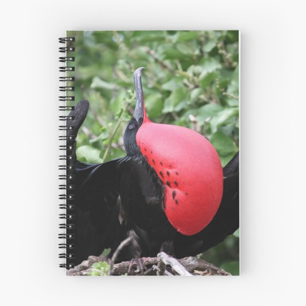 Item preview, Magnificent Frigatebird designed and sold by John Brice.