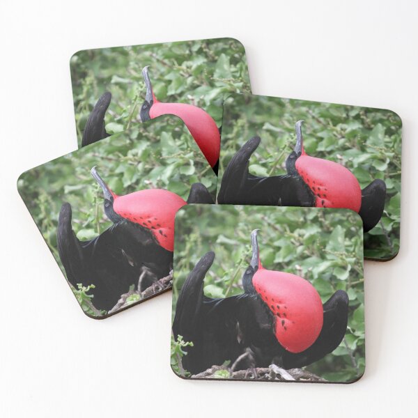 Item preview, Magnificent Frigatebird designed and sold by John Brice.