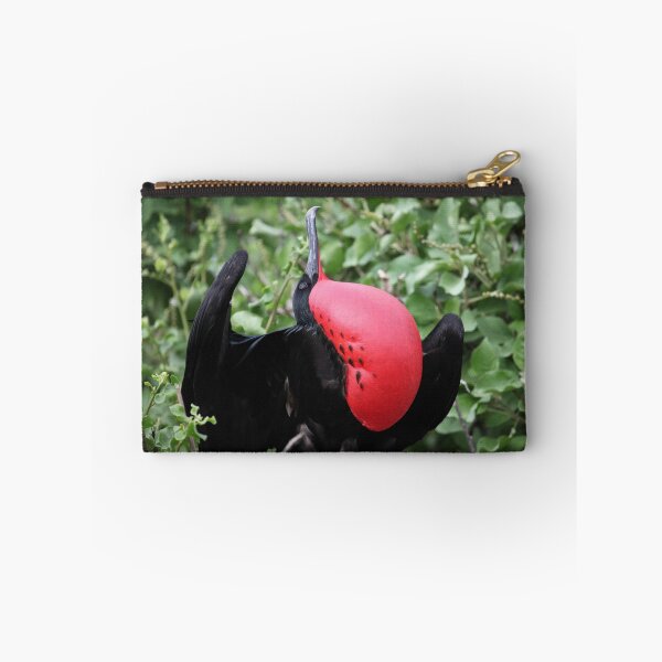 Item preview, Magnificent Frigatebird designed and sold by John Brice.