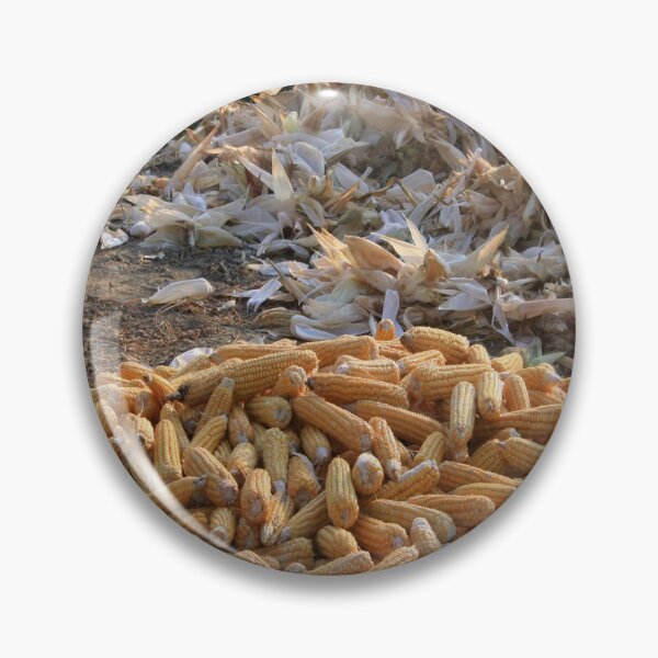 Item preview, eet Corn and Husks Autumn HarvestSw designed and sold by taiche.