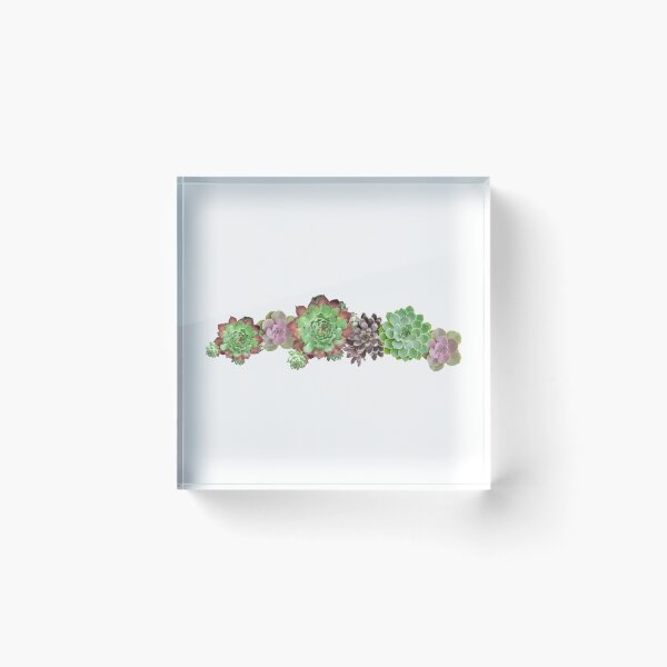 Item preview, Sempervivum Succulent Plants designed and sold by panattar.