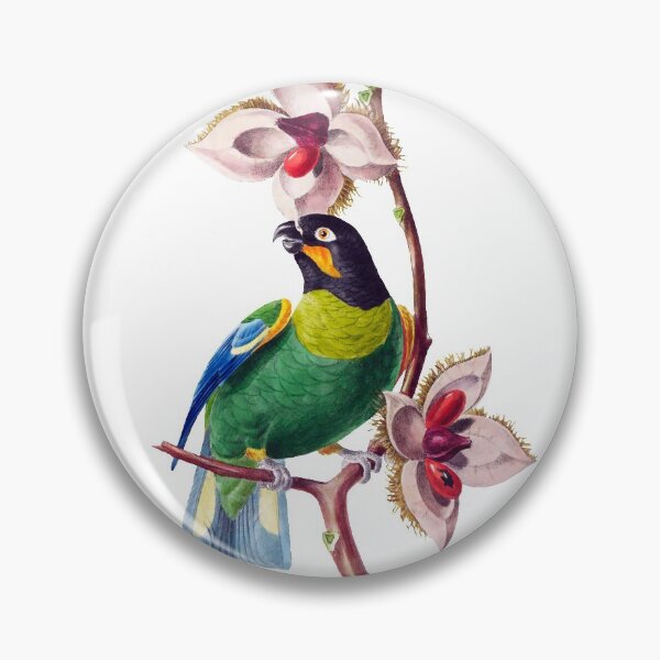 Item preview, Orange Cheeked Parrot - Exotic Birds designed and sold by AlexSin.