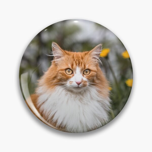 Item preview, Filou - the shy little fluffy cat.  designed and sold by Iceland-Effect.