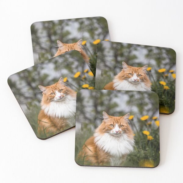 Item preview, Filou - the shy little fluffy cat.  designed and sold by Iceland-Effect.