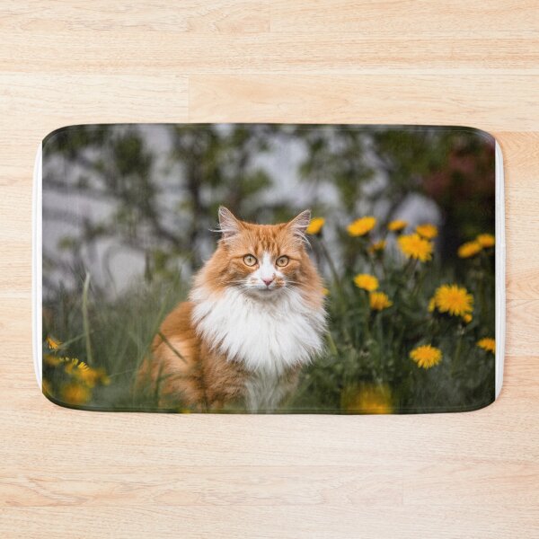 Item preview, Filou - the shy little fluffy cat.  designed and sold by Iceland-Effect.