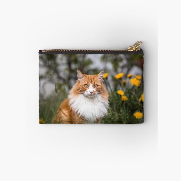 Item preview, Filou - the shy little fluffy cat.  designed and sold by Iceland-Effect.