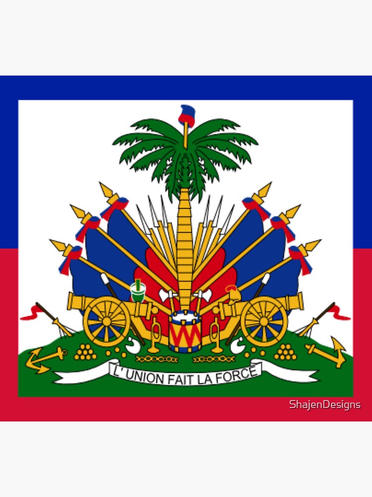 Haiti flag torn style Sticker by Idem97