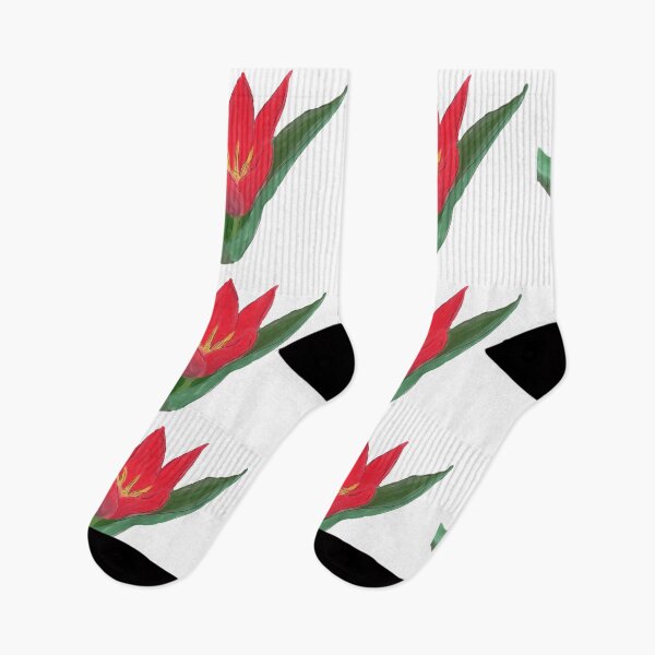 Item preview, Red Spring Tulip Watercolor  designed and sold by Phooo.
