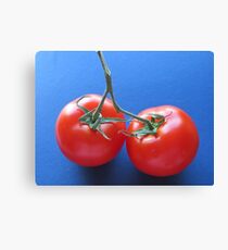 Showy! Canvas Print