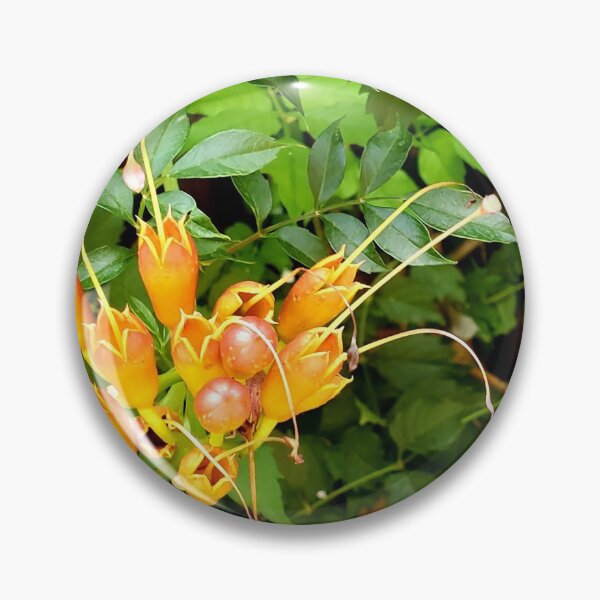 Item preview, Orange trumpet vine designed and sold by GKDigital.