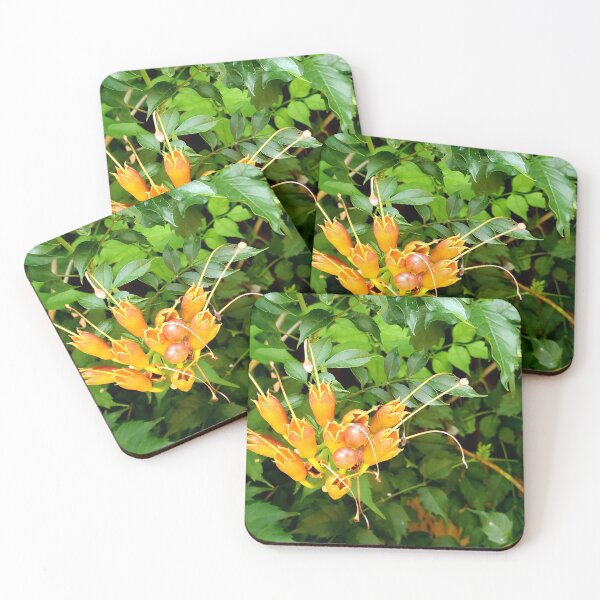 Item preview, Orange trumpet vine designed and sold by GKDigital.