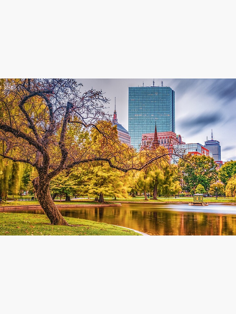 A Walk In The Park - Boston Public Garden