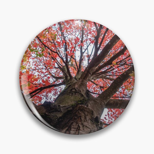 Item preview, Fall Canopy designed and sold by knuss.