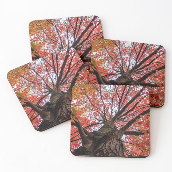 Item preview, Fall Canopy designed and sold by knuss.