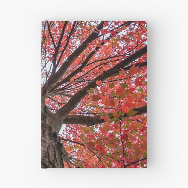 Item preview, Fall Canopy designed and sold by knuss.