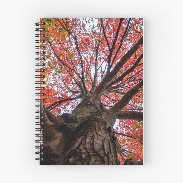 Item preview, Fall Canopy designed and sold by knuss.