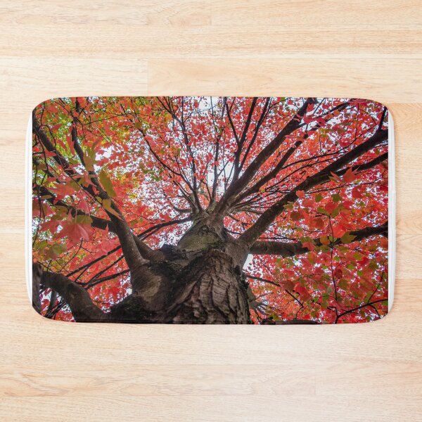 Item preview, Fall Canopy designed and sold by knuss.