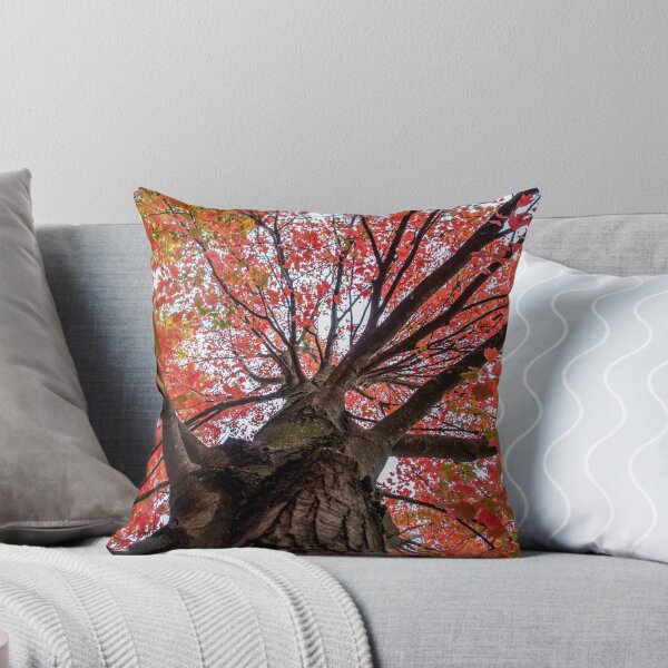 Item preview, Fall Canopy designed and sold by knuss.
