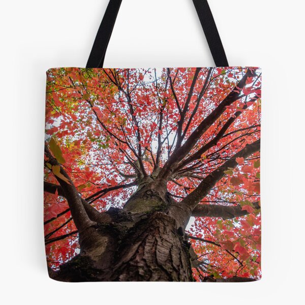 Item preview, Fall Canopy designed and sold by knuss.