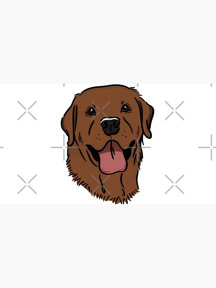 A Happy Fox Red Lab by rmcbuckeye