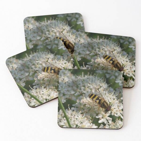 Item preview, Hoverfly at Work designed and sold by GingerMan2550.