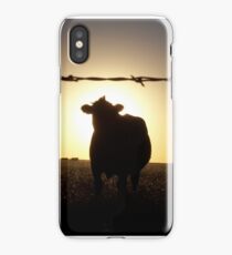 Cow at Sunset iPhone Case/Skin