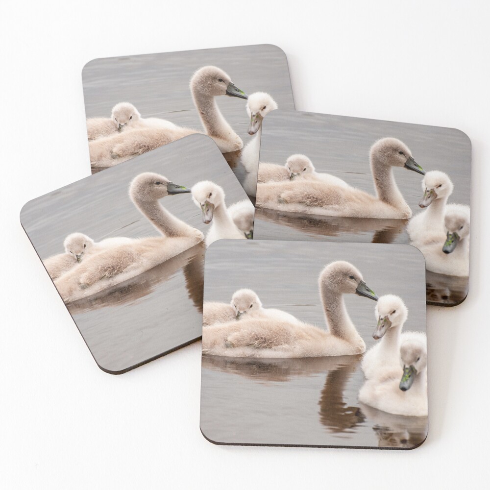 Item preview, Coasters (Set of 4) designed and sold by Ruthie33.