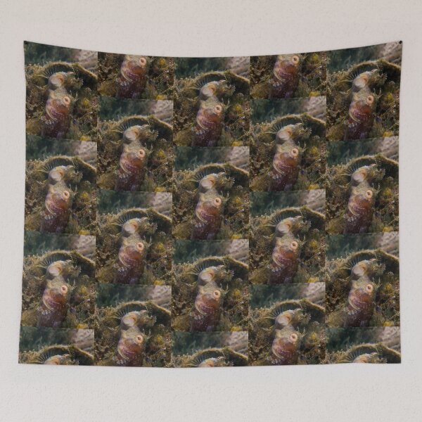 Item preview, A Seaweed Blenny Fight designed and sold by Brent Barnes.