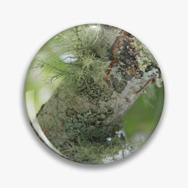 Item preview, What's not to lichen?  designed and sold by chstudios.